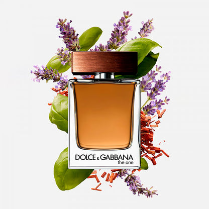 Perfume Dolce & Gabbana The One EDT